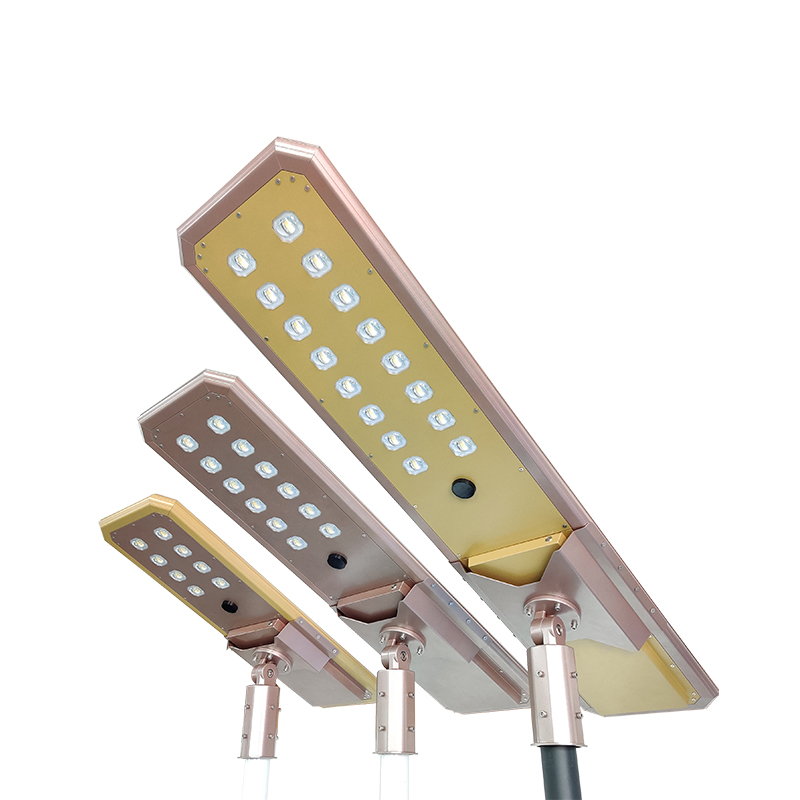 13 ISSL-DO-100W
