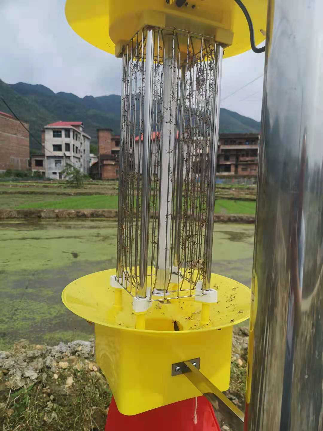 太阳能杀虫灯都对哪些虫子有效果？